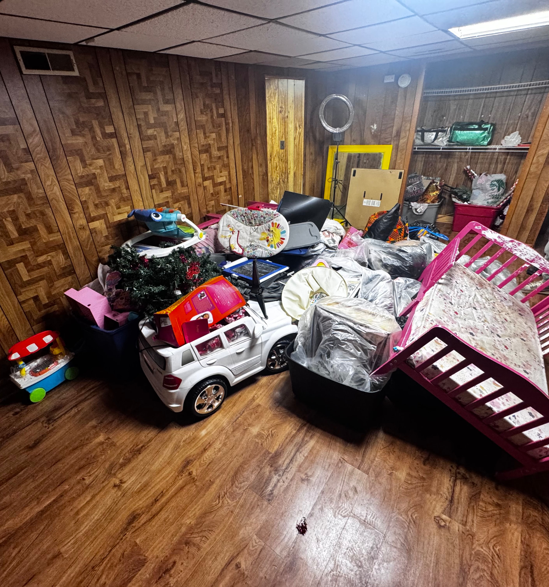 Basement Cleanout before, Grand Rapids, MI